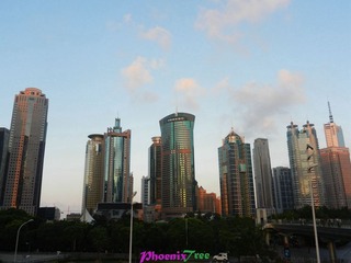 DSCN2333_
