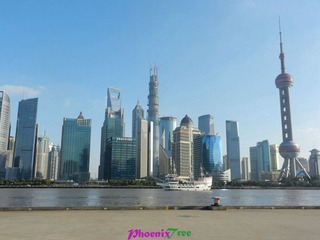 DSCN2945_