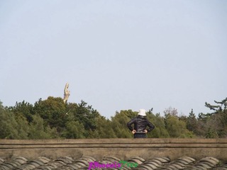 RIMG0239