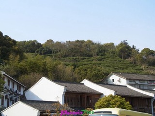 RIMG0242