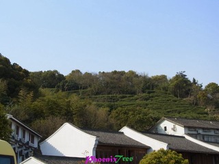 RIMG0243