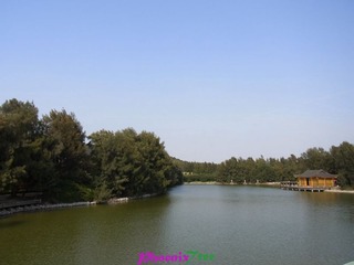 RIMG0244