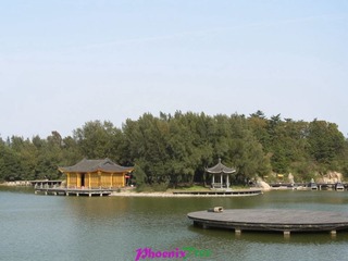 RIMG0246