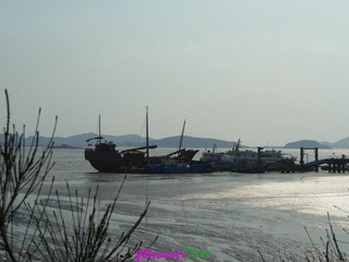 RIMG0251