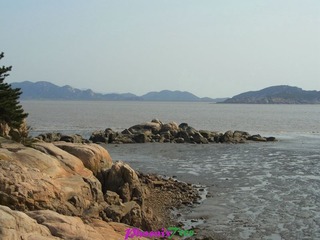 RIMG0252