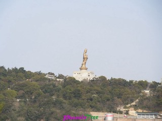 RIMG0261
