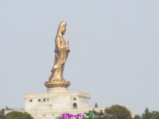 RIMG0263