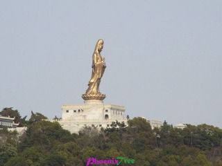 RIMG0282