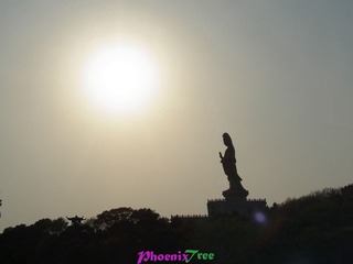 RIMG0380