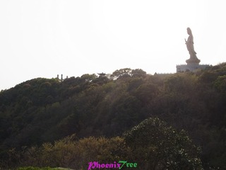 RIMG0373