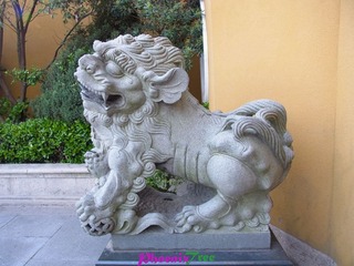 RIMG0377