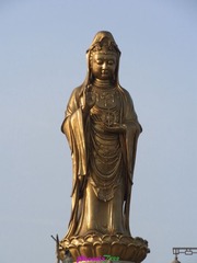 RIMG0388