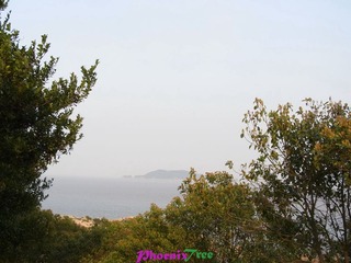 RIMG0457