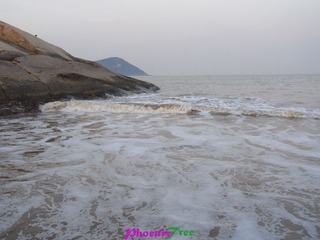 RIMG0545