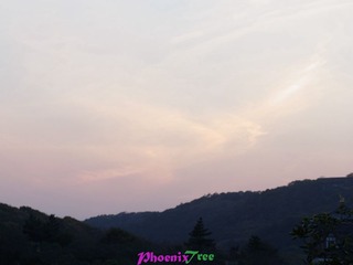 RIMG0566