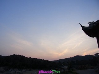 RIMG0567