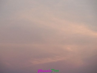RIMG0569