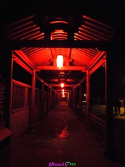 RIMG0620