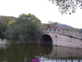 RIMG0683