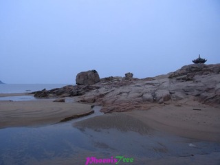 RIMG0658