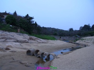 RIMG0661