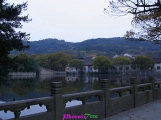 RIMG0667