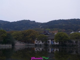 RIMG0677