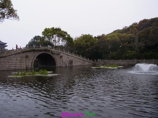 RIMG0699