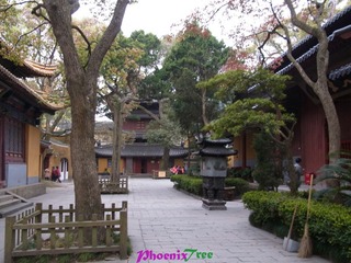 RIMG0709