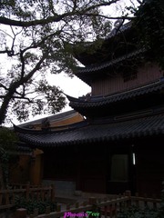 RIMG0711