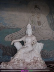 RIMG0746