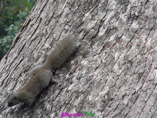 RIMG0766