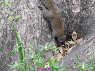 RIMG0757