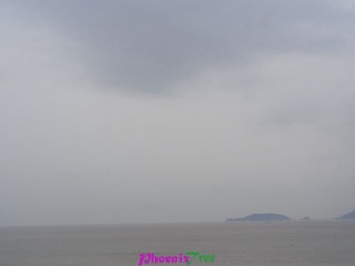 RIMG0787