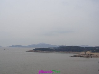 RIMG0826