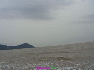 RIMG0893