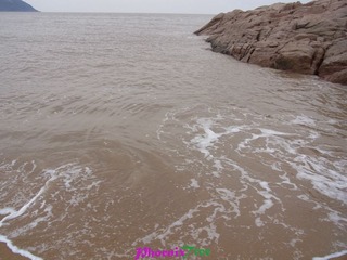 RIMG0885