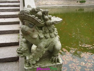 RIMG0936