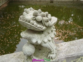 RIMG0937