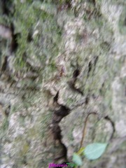 RIMG0945
