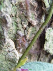 RIMG0949
