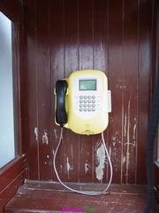 RIMG0981