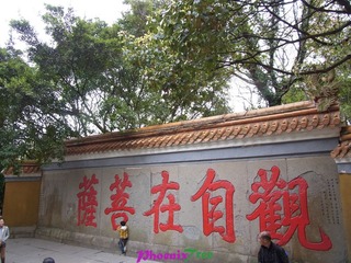 RIMG0982