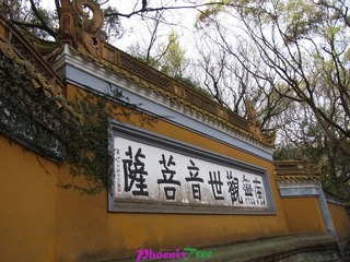 RIMG0983