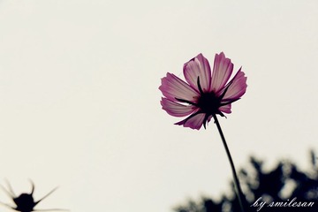 IMG_3080_