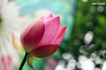 IMG_1027_