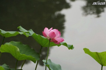 IMG_1061_