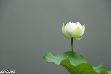 IMG_1122_
