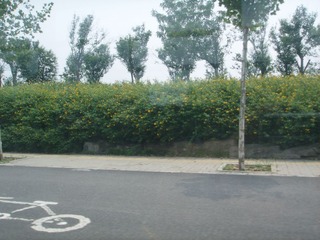 掠影1