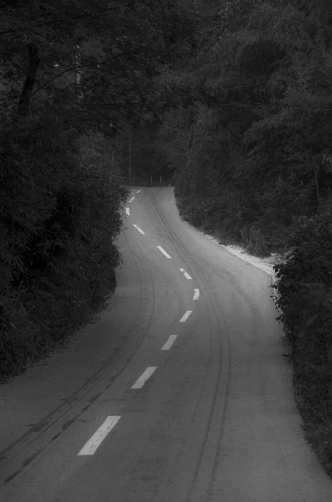 《路》
